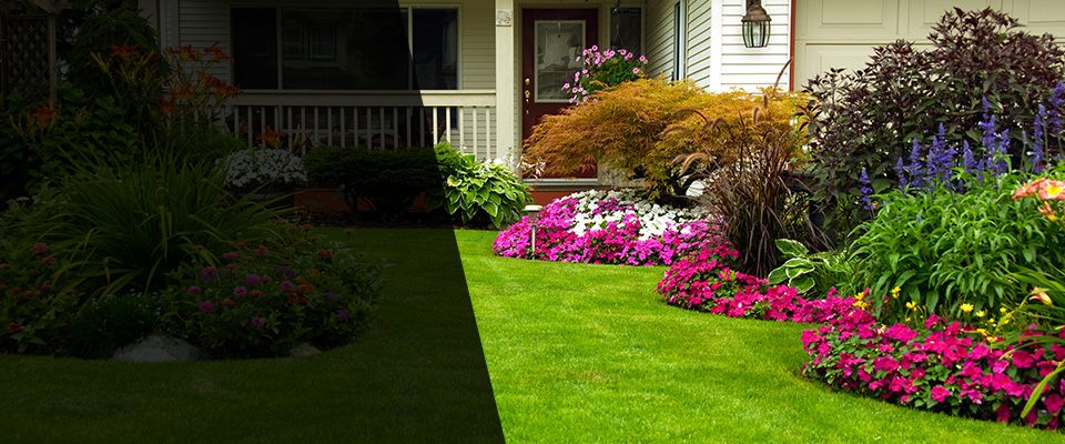 Tipton Landscapers