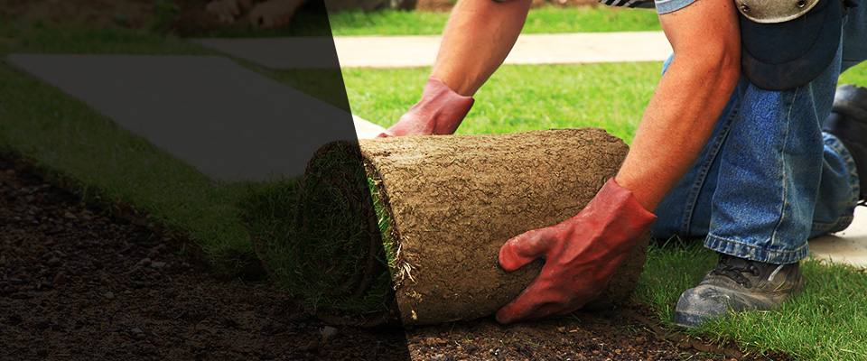 Tipton Landscapers